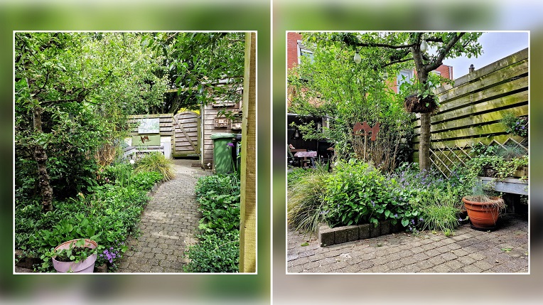 collage achtertuin met veel verkoelend groene struiken en bomen