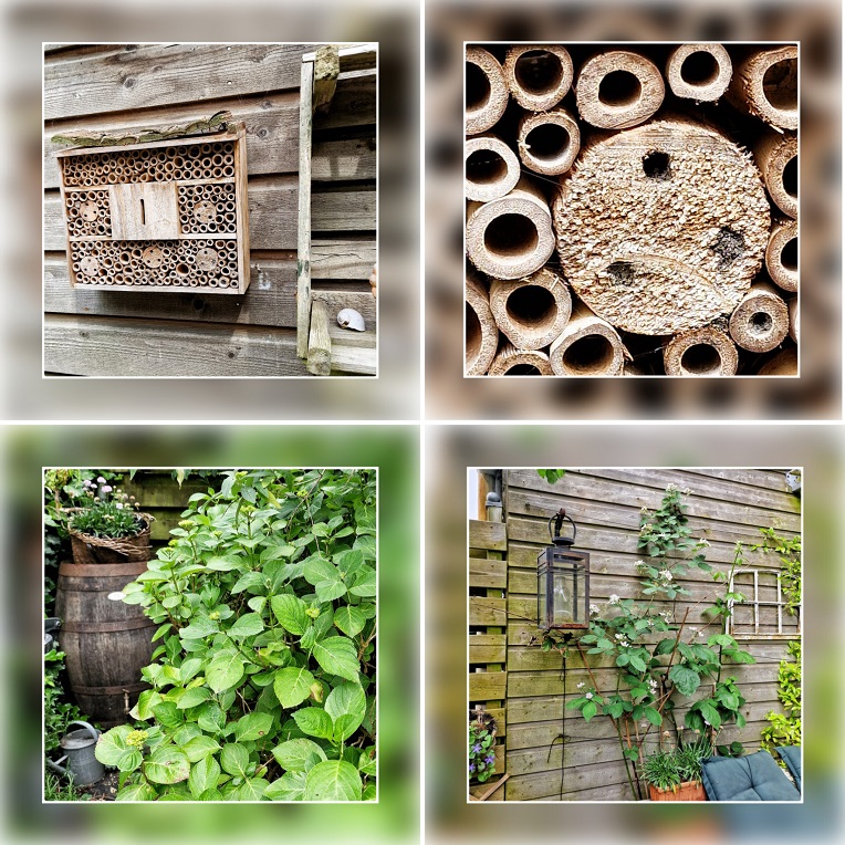 collage insectenhotel met dichtgemetseld holletje van metselbij, regenton en bramenstruik