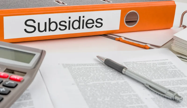 Subsidies