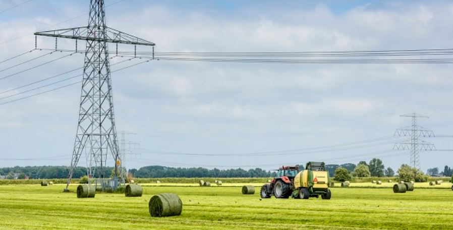 hoogspanning in het weiland